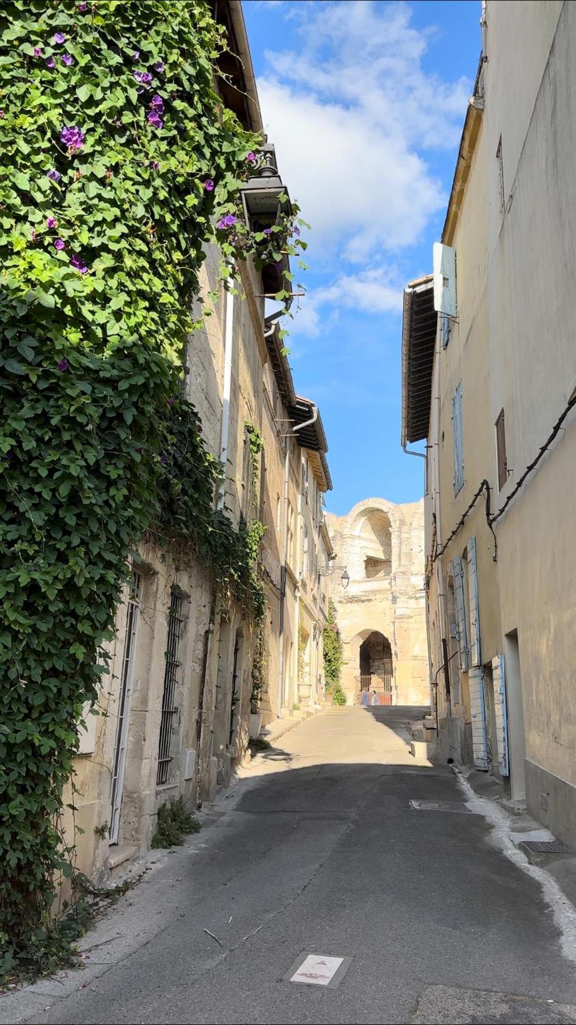 La Maison Des Hautures 阿爾勒 外观 照片